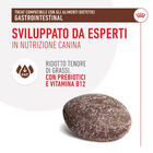 Royal Canin Treats Gastrointetsinal 230 g - Scad Marzo 2026