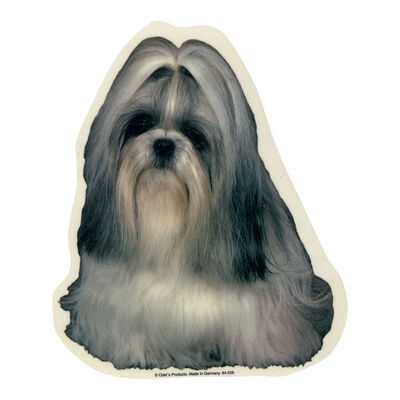 Camon Vetrofanie Shih-tzu