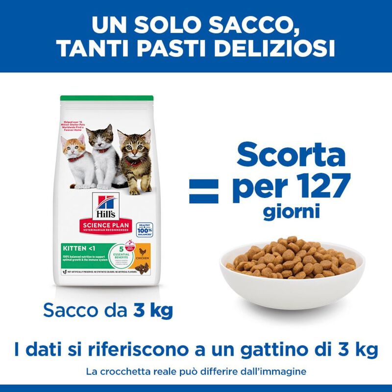 Hill's Science Plan Cat Kitten al Pollo 1,5 kg