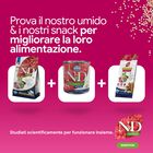 N&D Farmina Quinoa Dog Digestion Medium & Maxi Agnello 2,5 kg