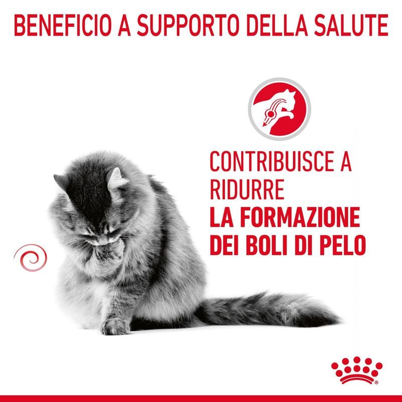 Royal Canin Hairball Care Adult Cat 10 kg