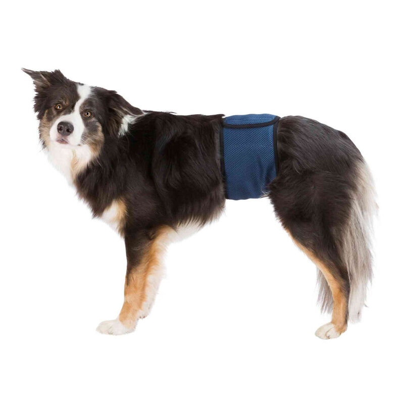 Trixie Frascia Igienica per cani Maschi M