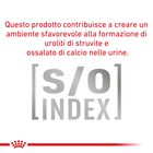 Royal Canin Veterinary Diet Dog Urinary S/O Moderate Calorie 1,5 kg