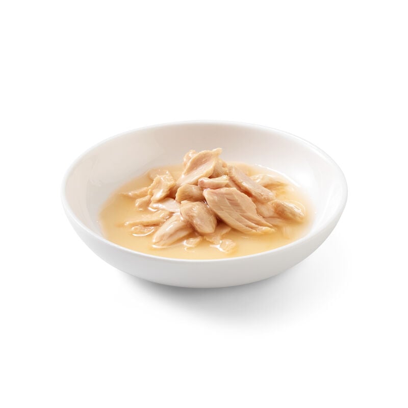 Schesir Cat Salmone al Naturale in brodo 85 gr