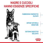 Royal Canin&nbsp;Maxi Starter Mother&Babydog 4 Kg