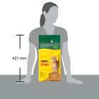 Friskies Cat Adult con Mix di Pollo e Tacchino e con Verdure 2 kg