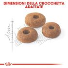 Royal Canin Cat Adult Sterilised Fit 32 10 + 2kg omaggio