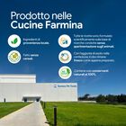 N&D Farmina Pumpkin Dog Adult Medium & Maxi Agnello e Mirtillo 12 kg