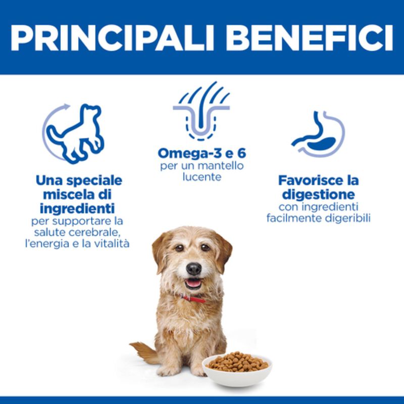 Hill's Science Plan Dog Senior Vitality Small & Mini Mature Adult 7+ al Pollo e Riso 1,5 kg 