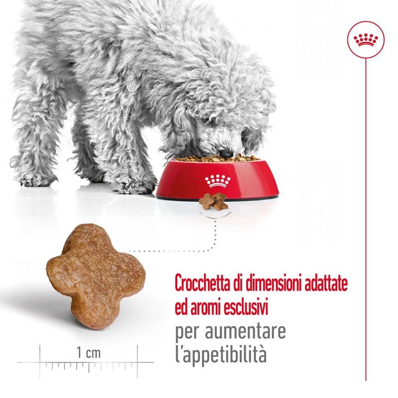 Royal Canin Dog Mini Adult +8 anni 8kg