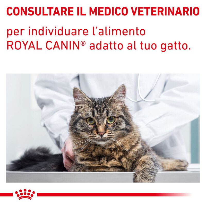 Royal Canine Veterinary Diet Cat Neutered Satiety Balance 3 kg