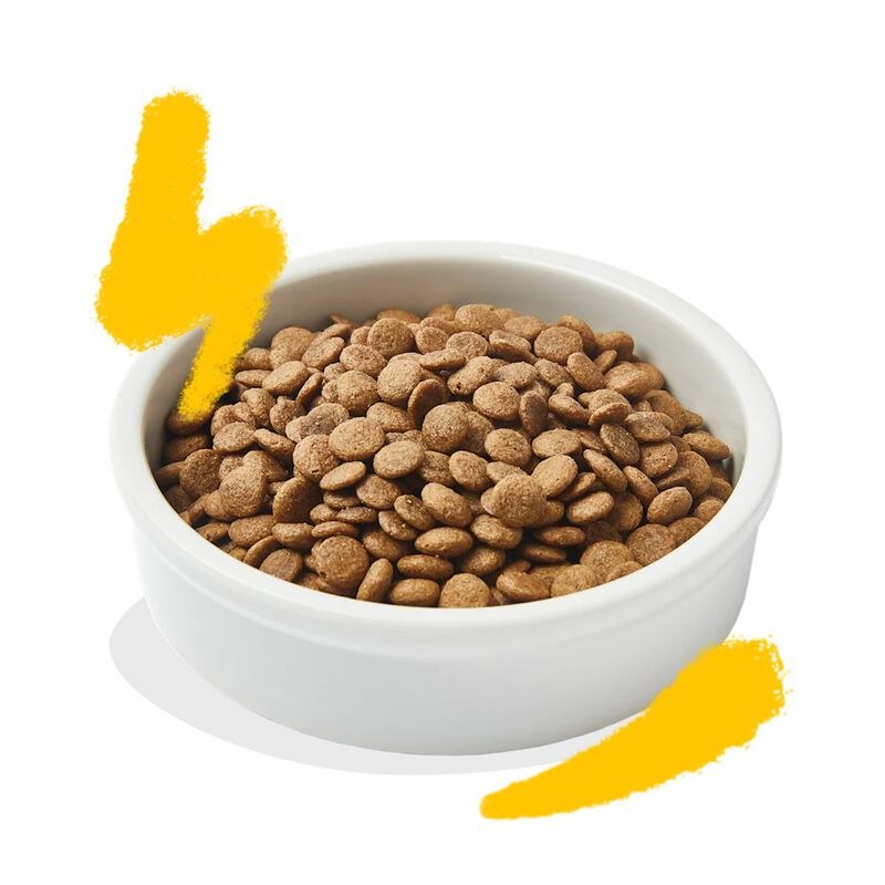 Edgard & Cooper Cat Adult Pollo e Tacchino 325 gr