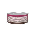 O-life Cat Steril Budino Manzo 70gr