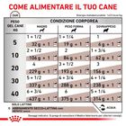 Royal Canin Veterinary Diet Dog Hepatic 420 gr