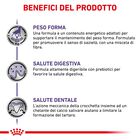 Royal Canin Expert Neutered Adult Small 1,5 kg