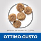 Hill's Science Plan Dog Small & Mini Mature Adult 7+ al Pollo 1,5 kg