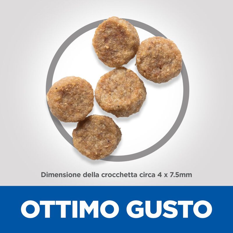 Hill's Science Plan Dog Small & Mini Mature Adult 7+ al Pollo 1,5 kg