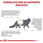 Royal Canin Veterinary Diet Cat Urinary S/O 7 kg