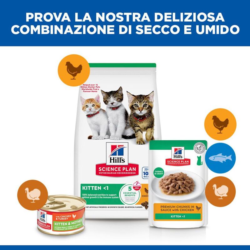 Hill's Science Plan Cat Kitten al Pollo 1,5 kg