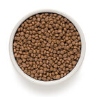 Grandorf Cat Sterilized 4 Carni 400gr