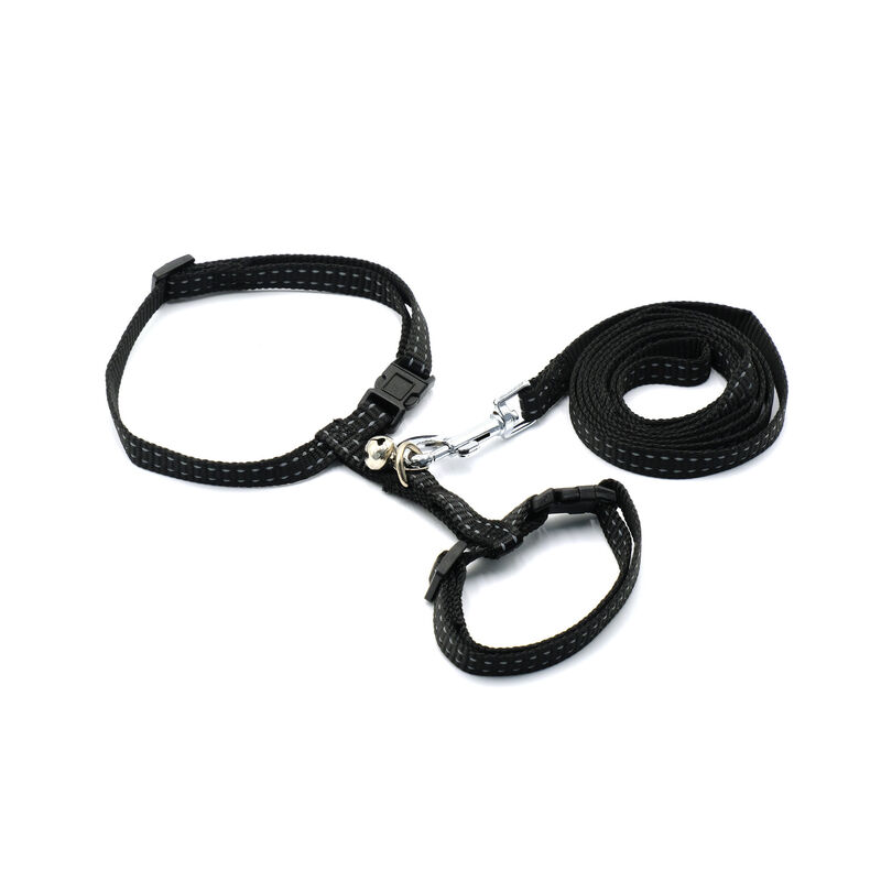 Petup Pettorina con Guinzaglio 10mm Nero