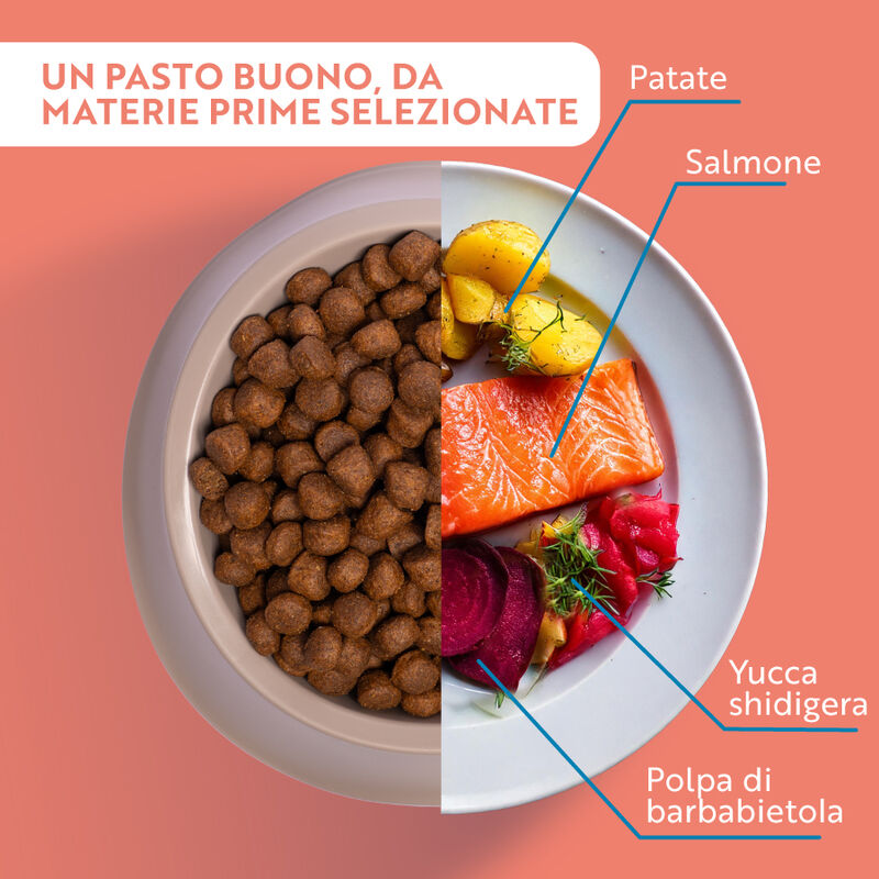 Monopro Dog All breeds Salmone 1,5 kg