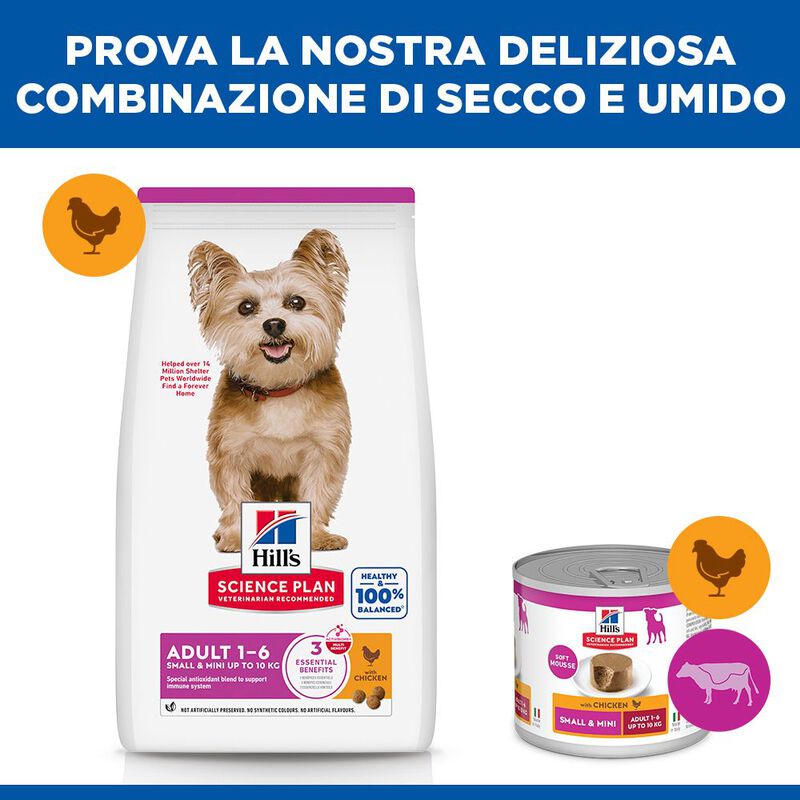 Hill's Science Plan Dog Small & Mini Adult con Pollo 300 gr