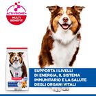 Hill's Science Plan Dog Medium Mature Adult 7+ al Pollo 14 kg