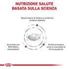 Royal Canin Veterinary Diet Dog Renal 2 kg