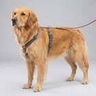 Trixie Premium Pettorina ad H Color Verde Tg M-L