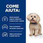 Hill's Prescription Diet Dog z/d Mini 6 kg