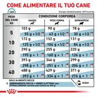 Royal Canin Veterinary Diet Dog Hypoallergenic 14 kg