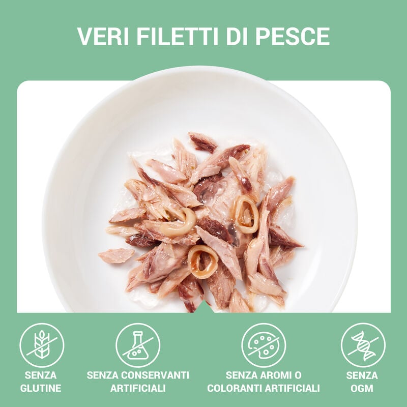 Schesir Cat Tonnetto e Calamari in Gelatina 70g