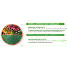 Natural Trainer Daily Nutrition Dog Maxi Adult con Pollo Fresco 12 kg