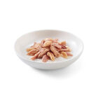 Schesir Cat Tonnetto con Salmone 50 gr