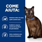 Hill's Prescription Diet Cat m/d Diabetes 1,5 kg