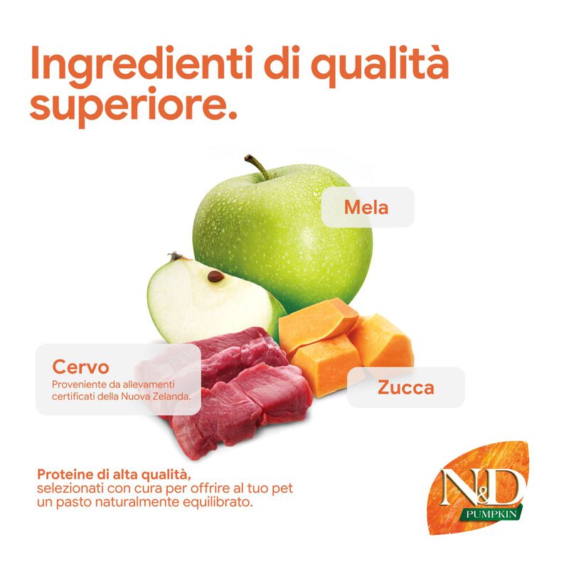 N&D Farmina Pumpkin Cat Cervo e Mela 300 gr