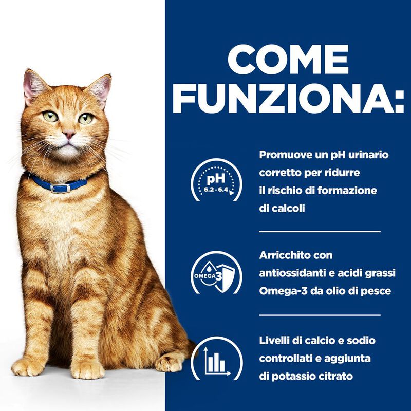 Hill's Prescription Diet Cat c/d Multicare Urinary Care Spezzatino con Pollo e Verdure 82 gr