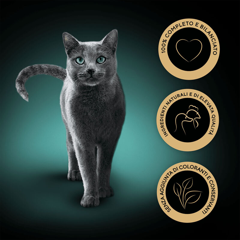 Sheba Cat Sauce Collection con Coniglio e verdure in salsa 85gr