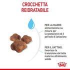 Royal Canin Cat Adult e Kitten Mother and Babycat 400 gr