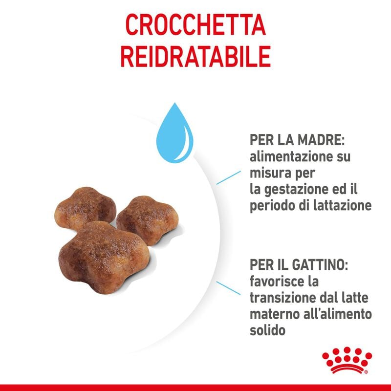 Royal Canin Cat Adult e Kitten Mother and Babycat 400 gr