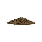 Forza10 Puppy Medium&Maxi Pesce 12 kg