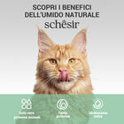 Schesir Cat Filetti di Pollo in Gelatina 70g