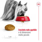 Royal Canin Dog Adult X-Small 1,5 kg