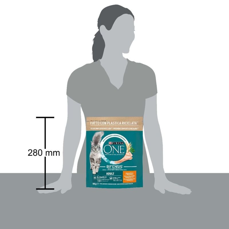Purina One Bifensis Cat Adult Pollo e Cereali Integrali 800 gr