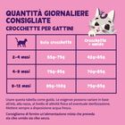 Edgard & Cooper Cat Kitten Anatra e Pollo 325 gr
