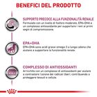 Royal Canin Veterinary Diet Dog Early Renal 12x100 gr