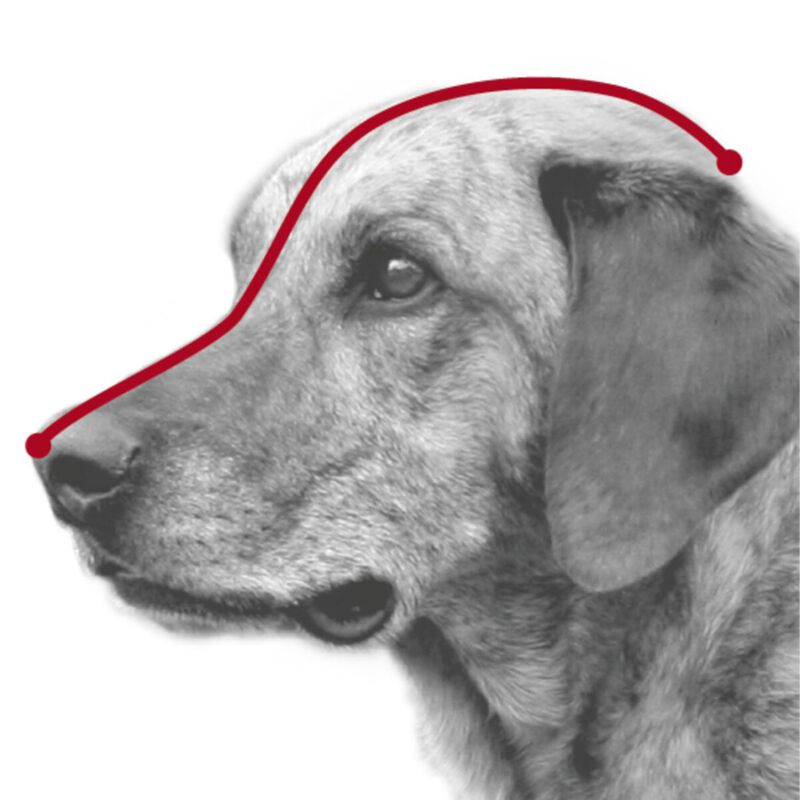 Trixie Museruola per cani in plastica Tg. S