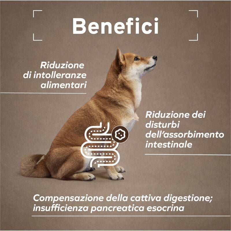 Forza10 active vet Diet Dog Intestinal Colon al Pesce 390 gr