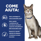 Hill's Prescription Diet Cat k/d Renal spezzatino con tonno e verdure 82gr